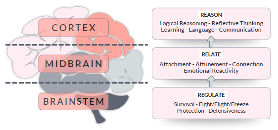 parts of the brain image emotion regulation and brain science
